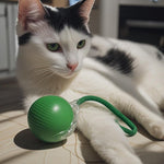 Pelota Electrónica Giratoria Mediana Recargable Usb C Ze-cfy