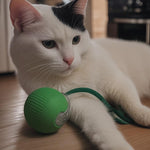 Pelota Electrónica Giratoria Mediana Recargable Usb C Ze-cfy